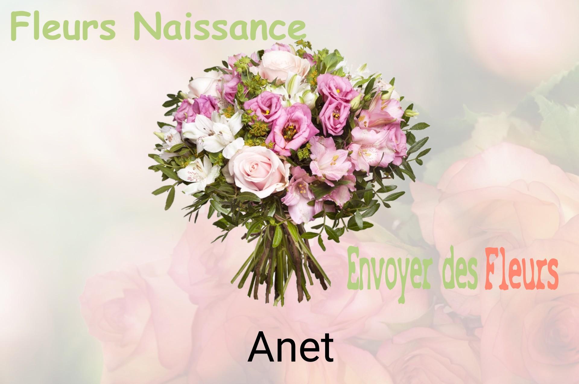 Bouquet de fleurs de naissance livré à Anet