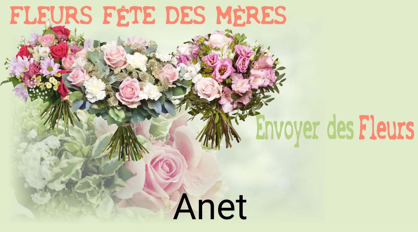 Bouquet de Fête des Mères livré à Anet